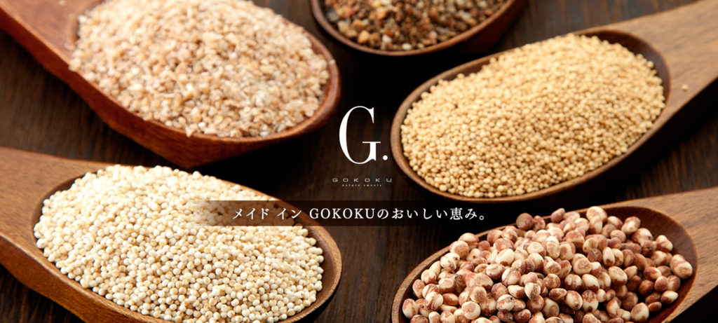 gokoku4